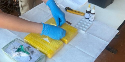 Polícia Civil realiza incineração de entorpecentes na Capital