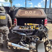 DOF apreende haxixe marroquino escondido em chassi de moto
