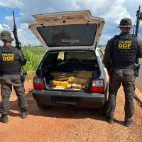 DOF apreende mais de 300 quilos de maconha em Ponta Porã