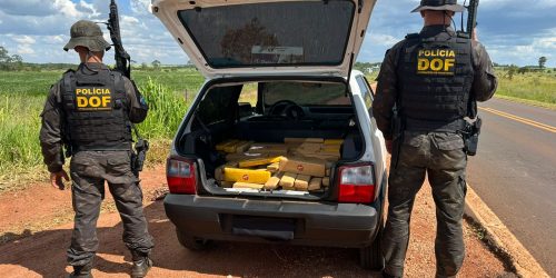 DOF apreende mais de 300 quilos de maconha em Ponta Porã