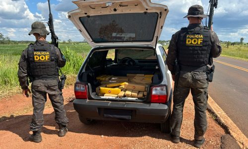 DOF apreende mais de 300 quilos de maconha em Ponta Porã