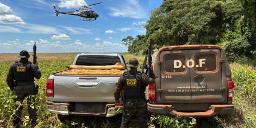 Com apoio de helicóptero, DOF apreende quase duas toneladas de maconha em caminhonete furtada