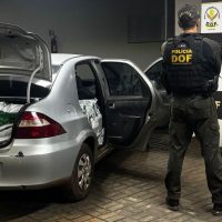 Policiais apreendem 700 quilos de agrotóxicos paraguaios