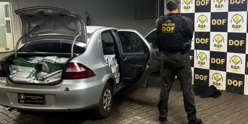 Policiais apreendem 700 quilos de agrotóxicos paraguaios