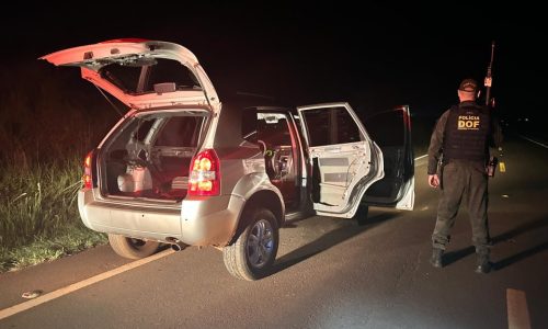 DOF recupera em Dourados veículo furtado no Rio Grande do Sul