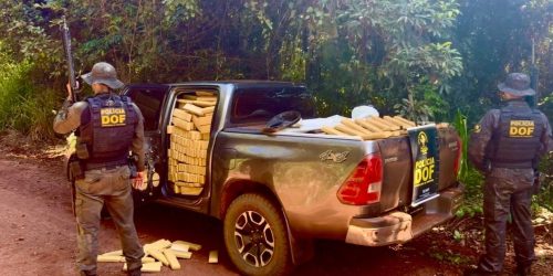 DOF apreende mais de duas toneladas de maconha em caminhonete furtada