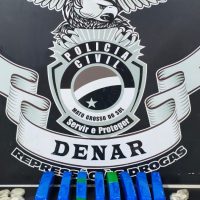 Polícia Civil apreende, na Capital, remessas de maconha e derivados via correios para diversos destinos no Brasil