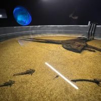 Foto: Eduardo Coutinho