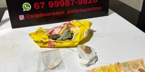 Divulgação