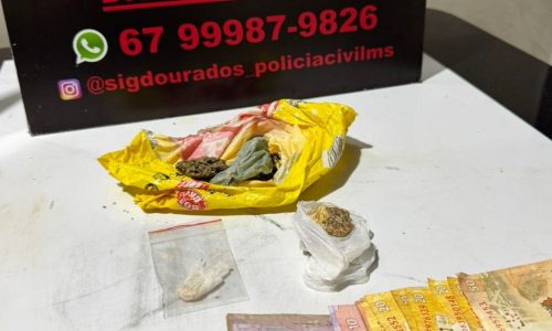 Divulgação