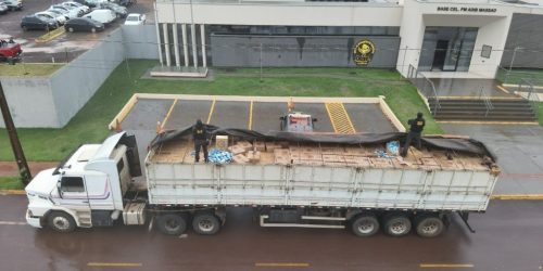 Divulgação