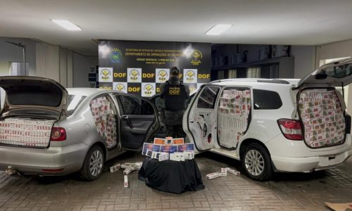 Divulgação