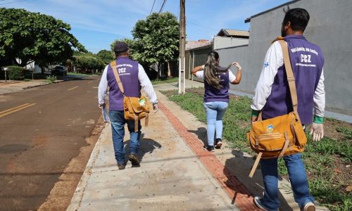 Com ações preventivas e campanhas, Dourados reduz os casos de Chikungunya