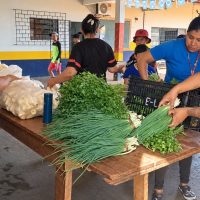 Dourados faz história com 1º PAA Indígena Municipal para 33 agricultores