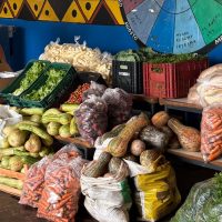 Dourados distribui 1.258 quilos de alimentos do PAA Indígena