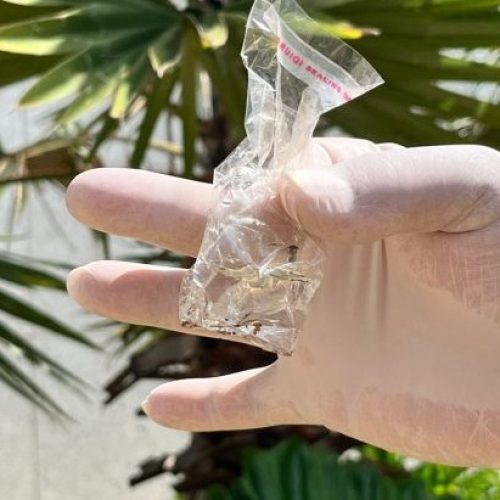 Foto: Kamilla Ratier