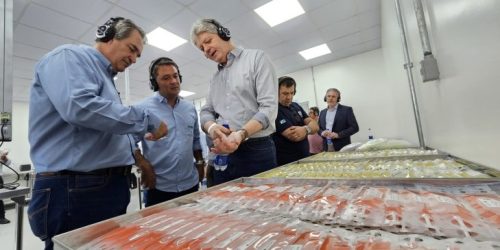 Foto: Mairinco de Pauda