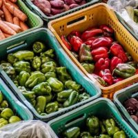 SES lança painel para monitorar situação alimentar e nutricional nos municípios de MS
