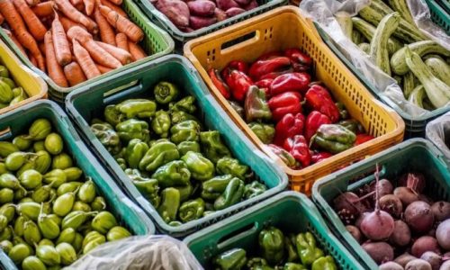 SES lança painel para monitorar situação alimentar e nutricional nos municípios de MS