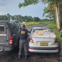 Canetas emagrecedoras entram na mira do combate aos crimes transfronteiriços em MS