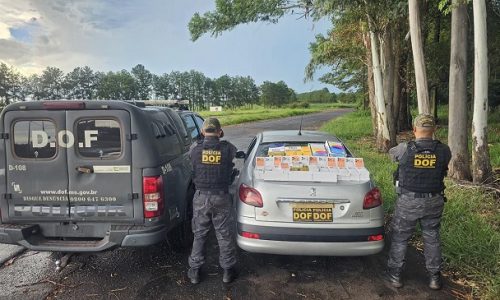 Canetas emagrecedoras entram na mira do combate aos crimes transfronteiriços em MS
