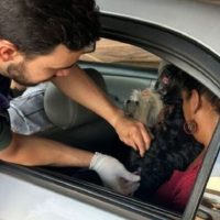 Prefeitura realiza 3º Drive-thru “Latemia” para vacinação antirrábica de cães e gatos