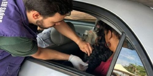 Prefeitura realiza 3º Drive-thru “Latemia” para vacinação antirrábica de cães e gatos