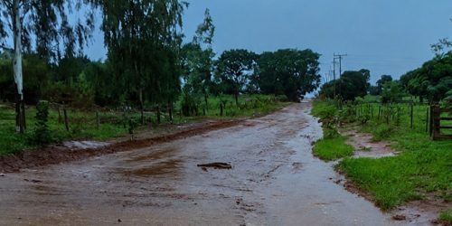 Zé Teixeira cobra obras em Nova Andradina e estrutura em Deodápolis e Paranhos