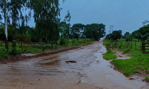 Zé Teixeira cobra obras em Nova Andradina e estrutura em Deodápolis e Paranhos