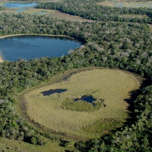 Encontro discute revisão do plano de manejo do Parque Estadual do Rio Negro