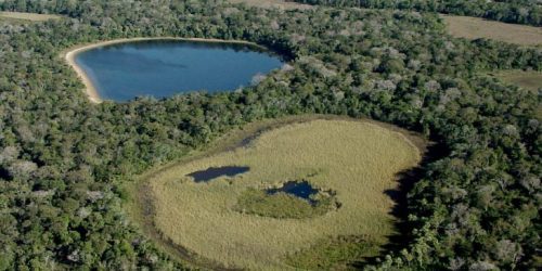 Revisão do Plano de Manejo do Parque Estadual do Pantanal do Rio Negro é Tema de Encontro Estratégico