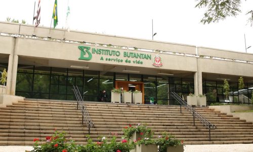 Rovena Rosa/Agência Brasil