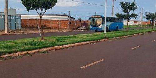 Divulgação