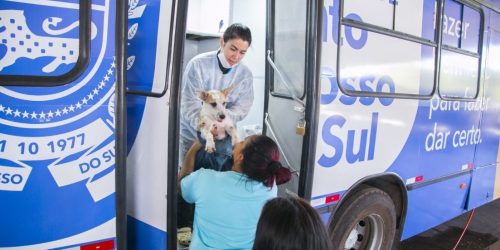 Com apoio e estrutura da Prefeitura de Dourados, Caravana da Castração fará 1.500 cirurgias entre os dias 3 e 12 de novembro. Divulgação/Assecom