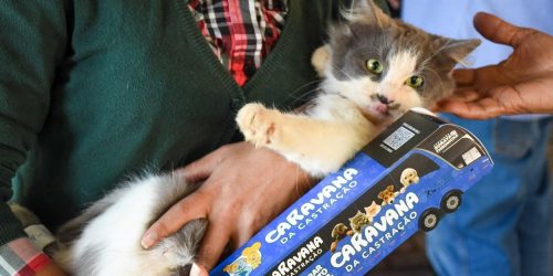 Caravana da Castração chegará em Dourados em novembro para castrar 1.500 cães e gatos- Divulgação/ Assecom