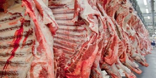 China impulsiona exportações de carne de MS e compensa queda nas compras dos EUA após tarifaço