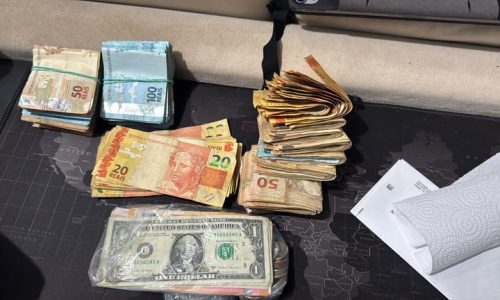 Divulgação