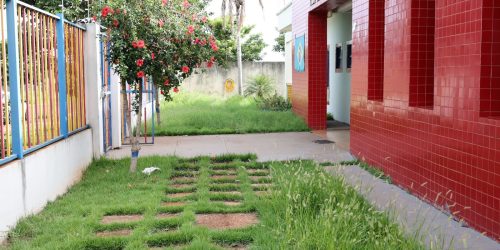 Ceim do Monte Carlo receberá serviços de roçada e limpeza nos próximos dais – Fotos: A. Frota