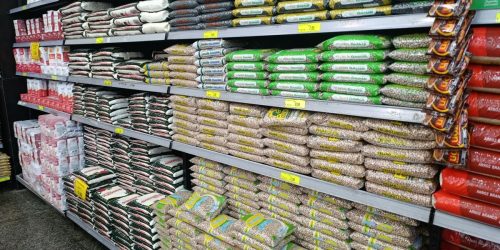 Pesquisa do Procon aponta variação de até 267% nos preços da cesta básica em Dourados
