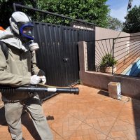 Chikungunya segue em desaceleração em Dourados e notificações despencam