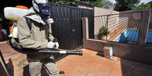 Chikungunya segue em desaceleração em Dourados e notificações despencam