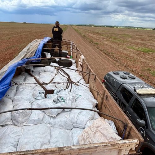 Policiais apreendem caminhão com 8 toneladas de defensivos agrícolas contrabandeados