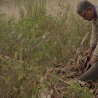 Aldeias de Dourados recebem reforço no atendimento em meio à emergência por chikungunya