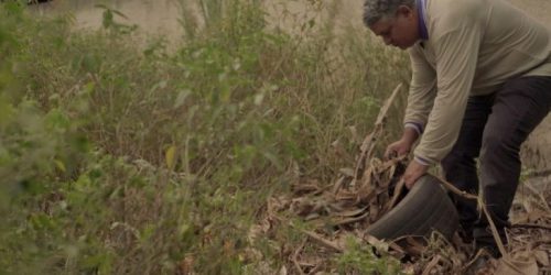 Aldeias de Dourados recebem reforço no atendimento em meio à emergência por chikungunya