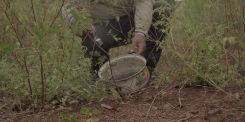 Trabalho conjunto com os municípios tem feito o Estado se consolidar como referência nacional no uso de tecnologia para salvar vidas e enfrentar doenças endêmicas