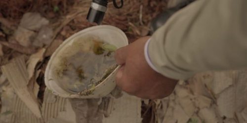 Foto: Divulgação/GovMS