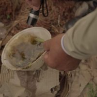 MS registra 2 casos confirmados de dengue