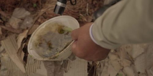 Foto: Divulgação Gov