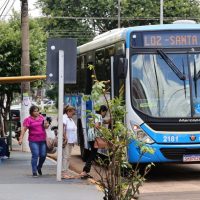 Dourados terá ônibus gratuito e suspensão de aulas para o segundo turno