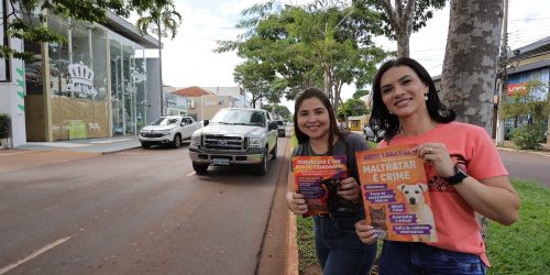 Karla Gomes e Patrícia Leite entregaram material informativo em semáforos de Dourados – Foto: A. Frota